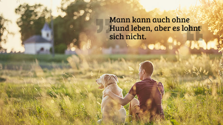 Die schönsten Hundesprüche PURINA BENEFUL